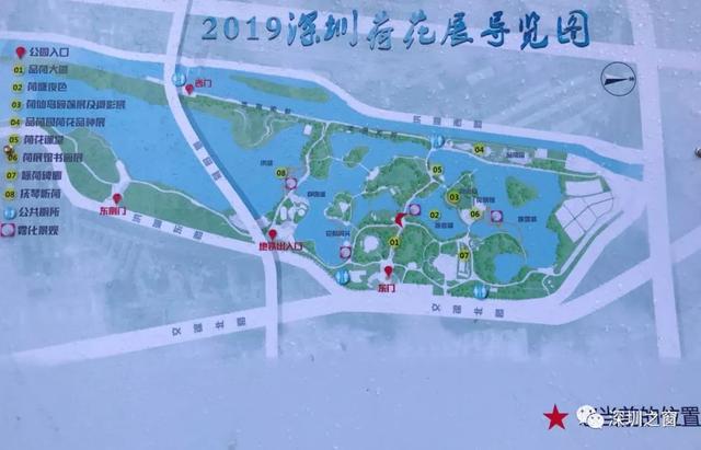 深圳洪湖公园地图图片