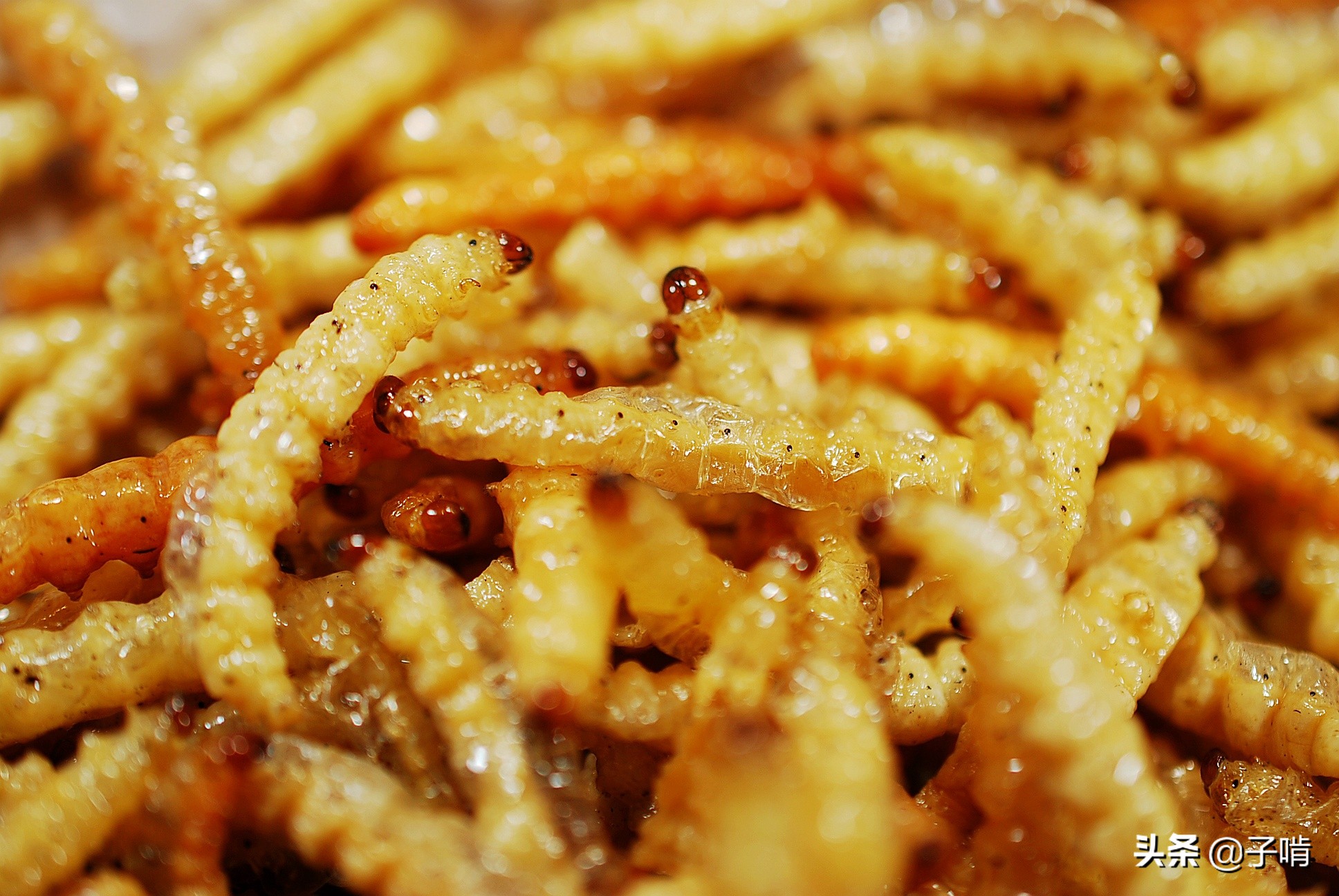 白白嫩嫩肥嘟嘟的肉虫炸着吃,68元的价格经常吃不到,味道很奇妙