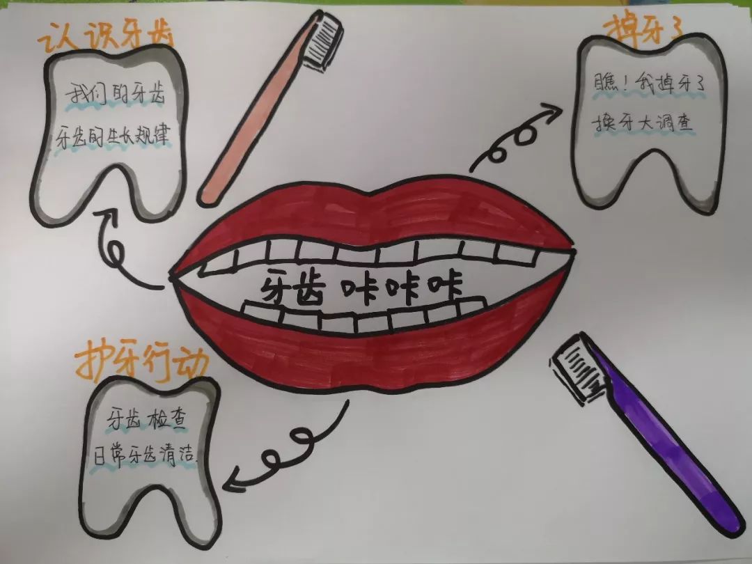 幼儿园牙齿主题网络图图片