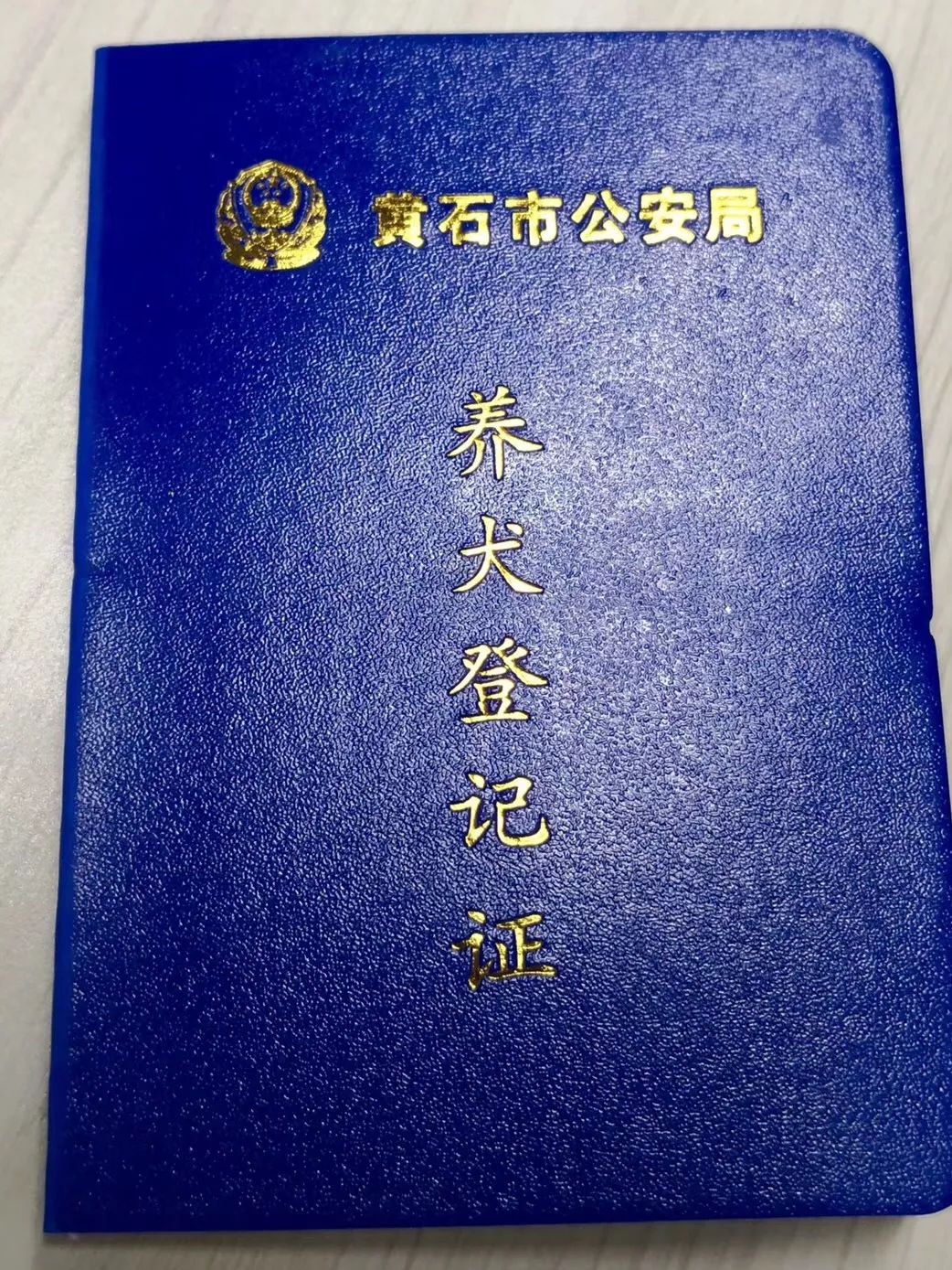 来了黄石犬证办理的正确打开方式