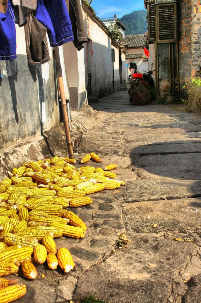 10年前,是我第一次来到安徽黄山脚下.