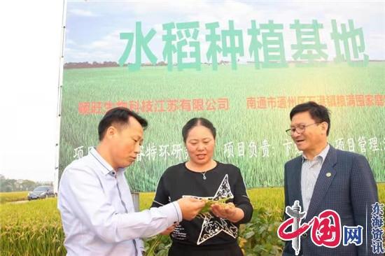 勇于大胆创新 提升品牌效应 ——卞红林和她的家庭农场_南通