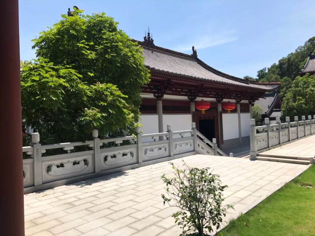 焦点八华严寺刚刚落成的华严寺,位于汕头大学和广东以色列理工学院