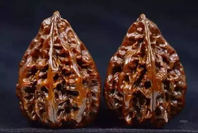 8种即将绝迹的野生楸子核桃