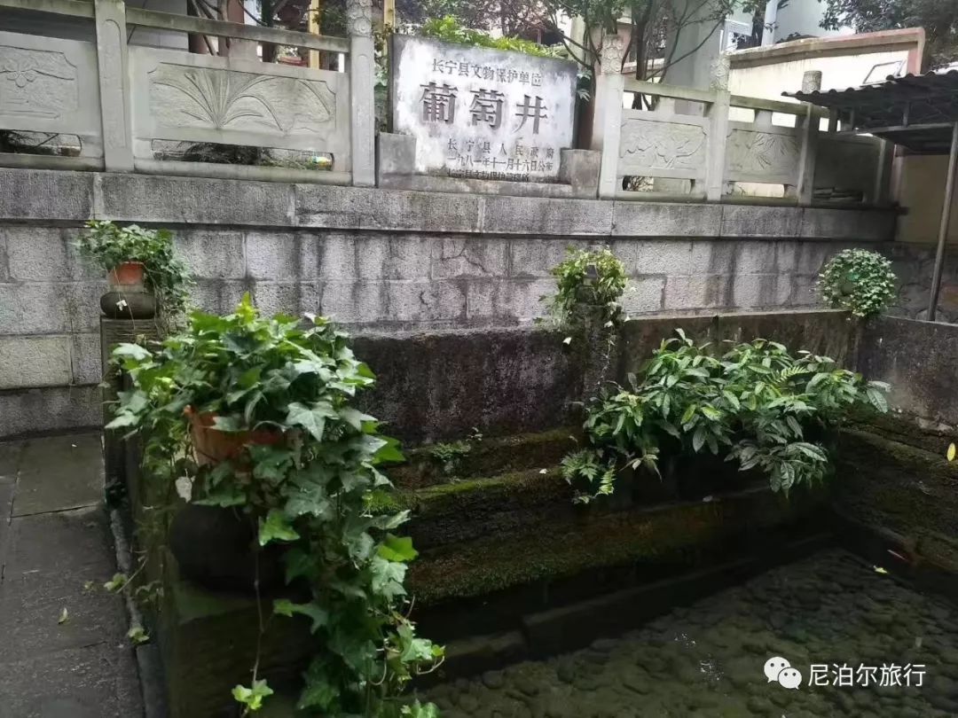 宜宾地震与尼泊尔消失的葡萄井凉糕复生的甘泉圣水