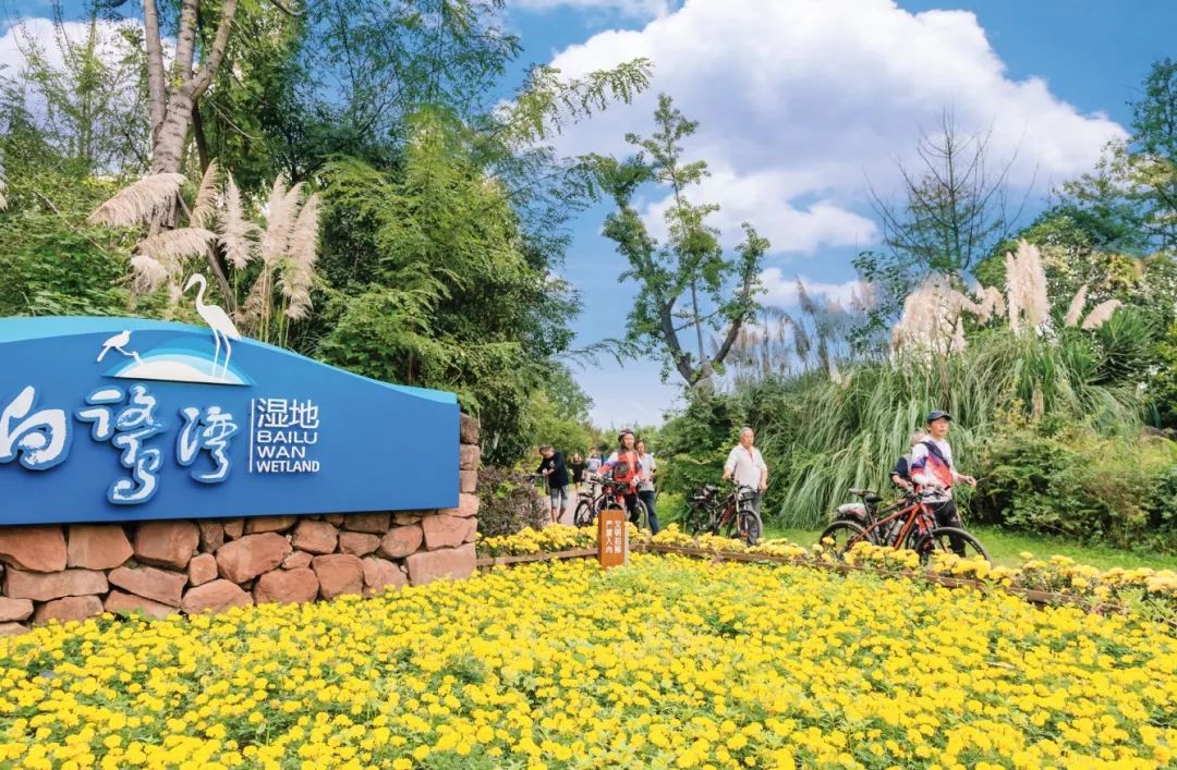 白鹭湾新经济总部功能区热火朝天的重大项目开工建设氛