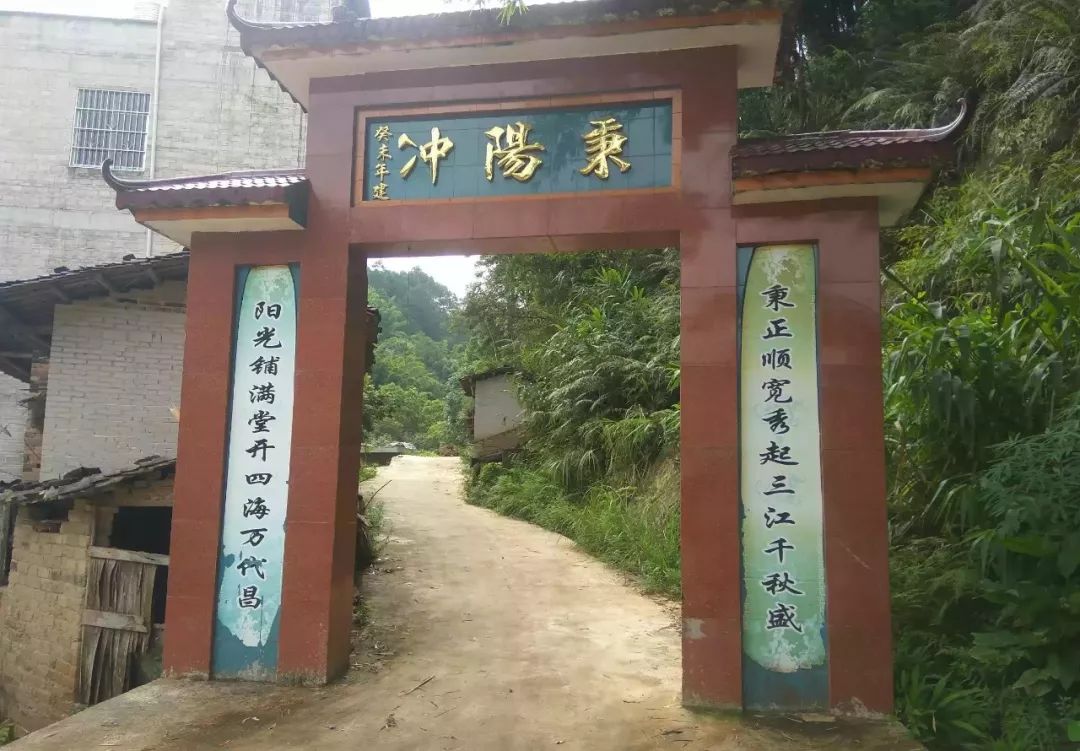 桂平罗秀镇路凤村藏了这样一棵古树,你见过吗?