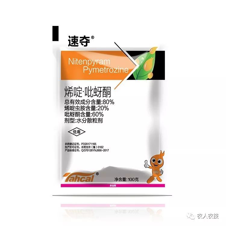 浅谈枣树绿盲蝽蟓的危害及防治