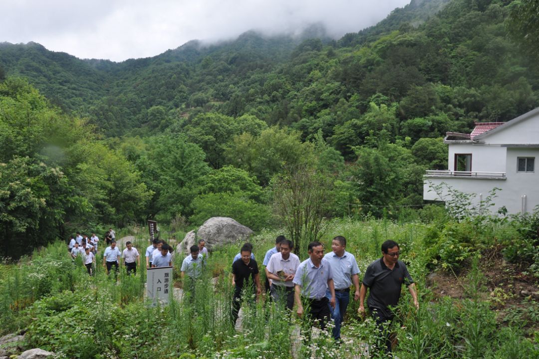 村,村党总支第一书记,驻村扶贫工作队队长,省政府政策研究室汪木森处
