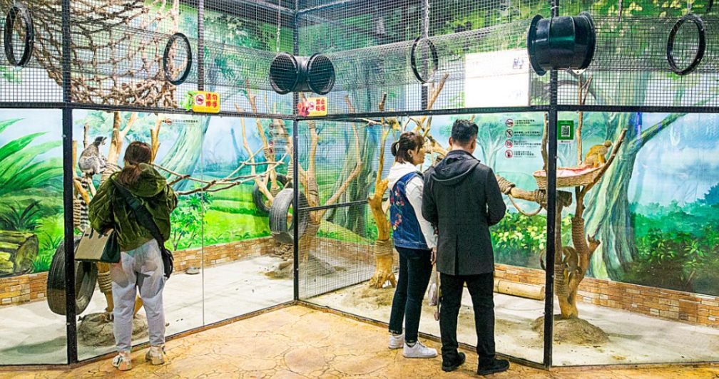 9999张门票免费领!湘潭多乐城即将盛大开业