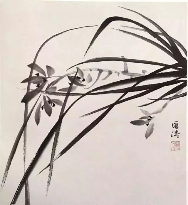 徐湛老师教你画兰花,兰草!主次,虚实,呼应等绘画关系大合集