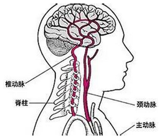 cicc科普栏目脑供血不足的原因有哪些这5个要点莫忽视