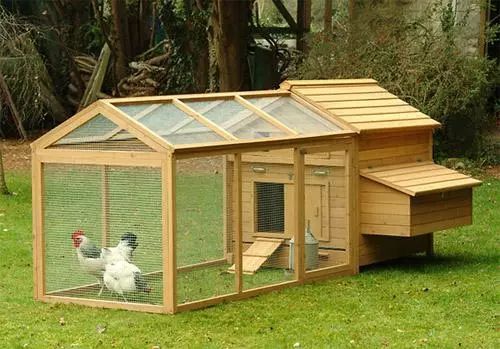 炎热季节鸡舍如何采取防暑降温措施