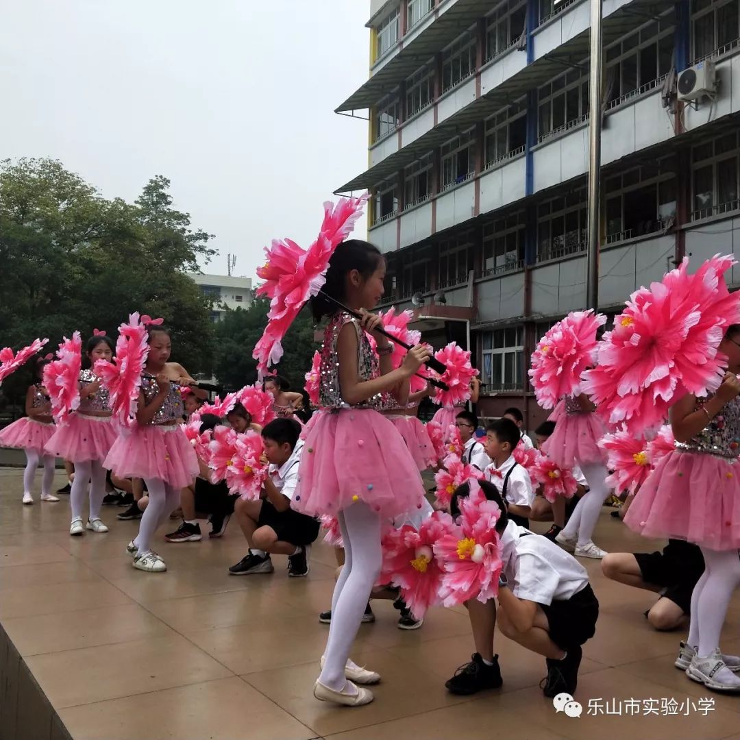 可愛的小蜜蜂們,勤勞,勇