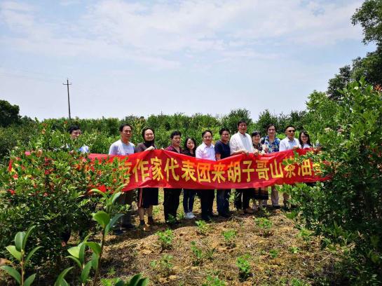 湖南省作家代表团深入胡子哥山茶油基地采风