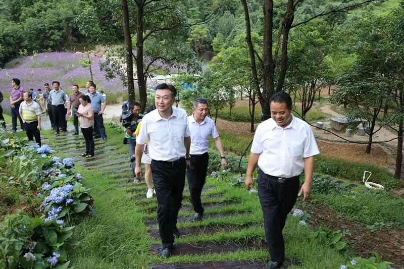 大埔县长熊锋松到洲瑞镇调研,去了这些地方