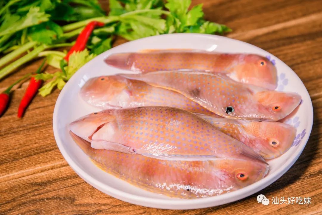 香 煎 英 哥 鱼手残党都能学会的烹饪方式part 2海鲜全部准备完毕,就