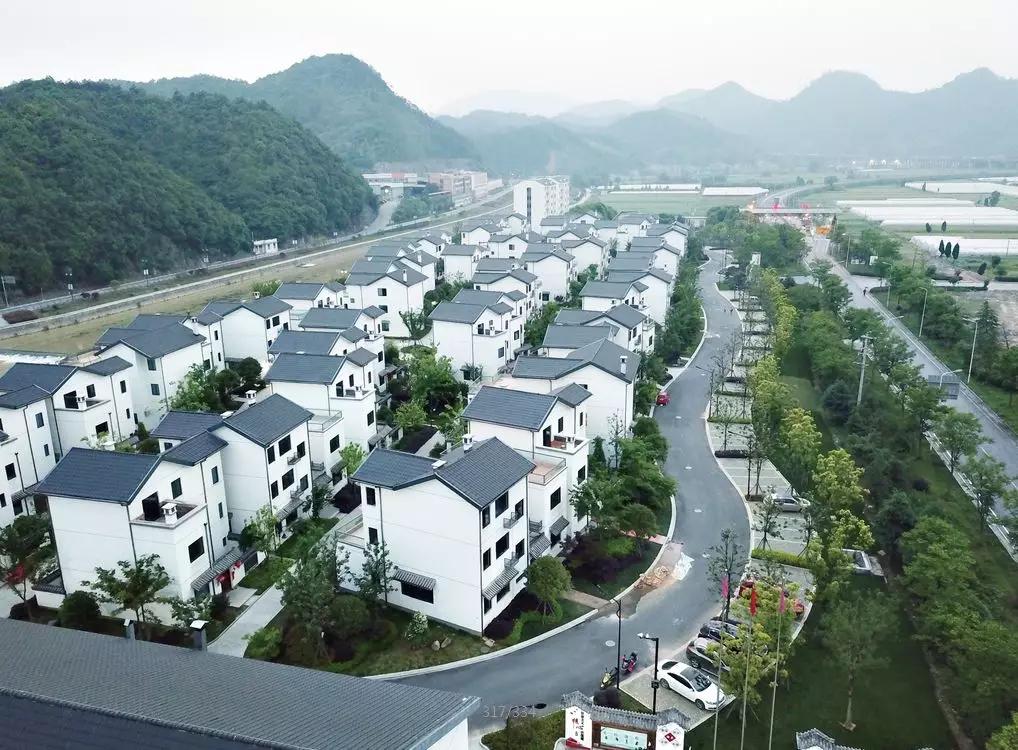 名镇名村志系列安仁村志金谷村志以史为镜探寻村落文化