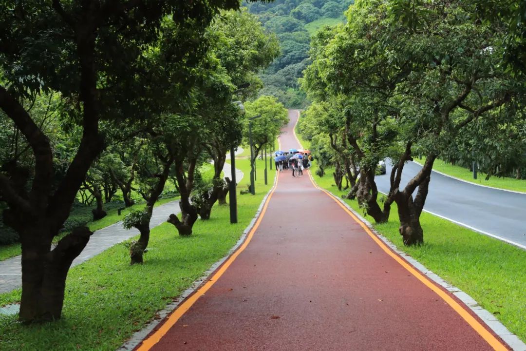 greenway to start trial operation 淘金山綠道7月試運行,全長7.