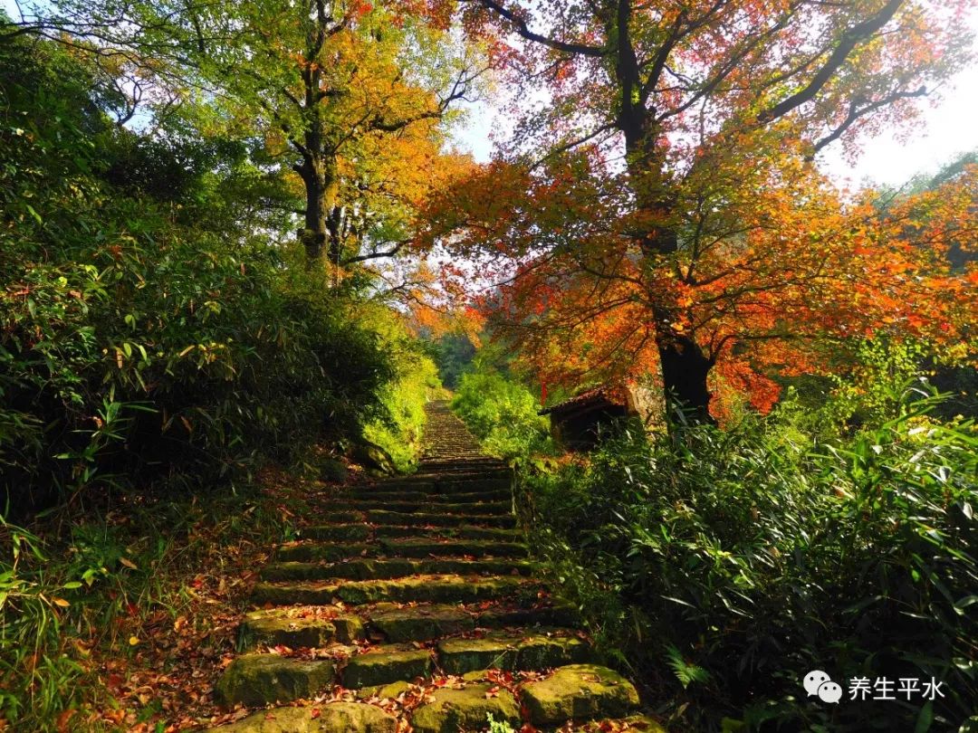 陶宴岭古道图片