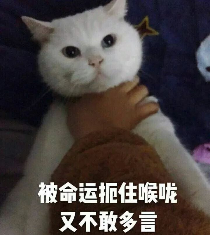 疾病的阴霾愿每个人期末都能够为自己end图片来源:网络编辑:杜雨濛 张