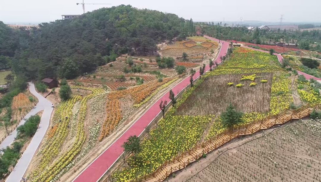 美炸了新泰惠美百合和园航拍大片来袭