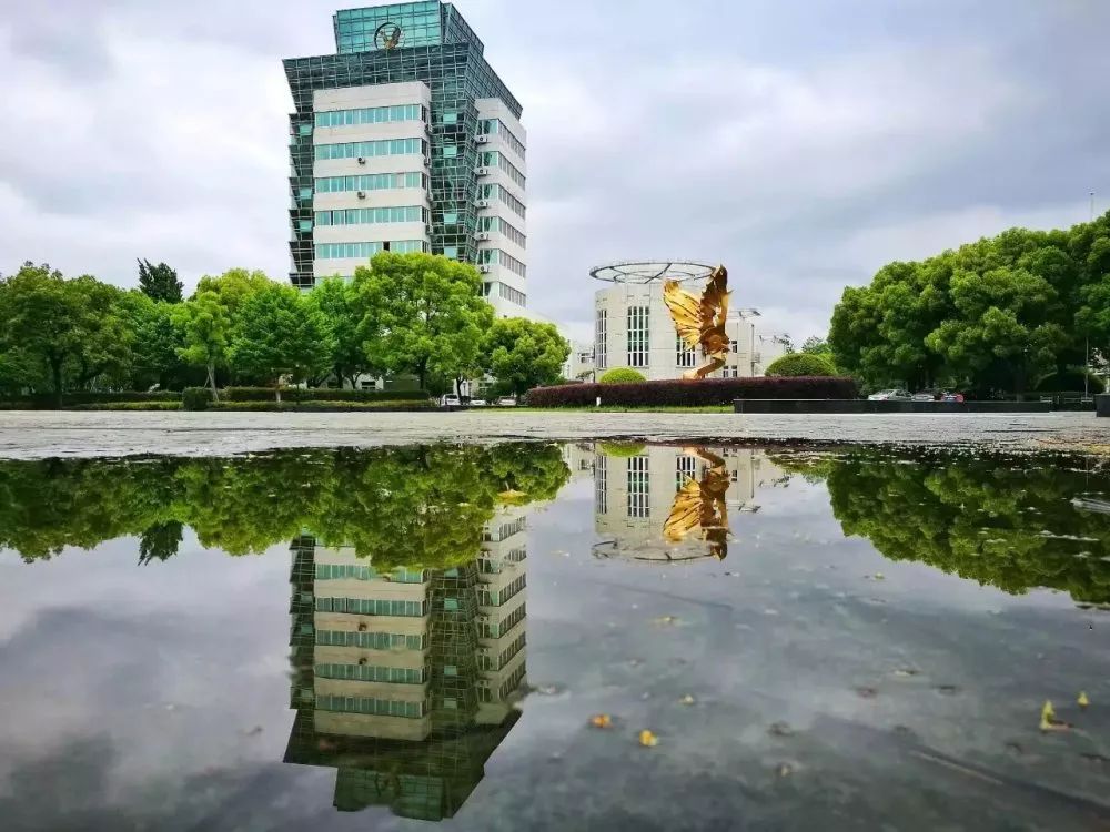 宁波财经学院 杭州湾图片