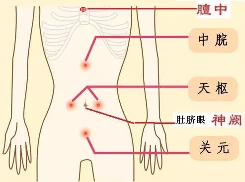 腹四关的准确位置图片图片