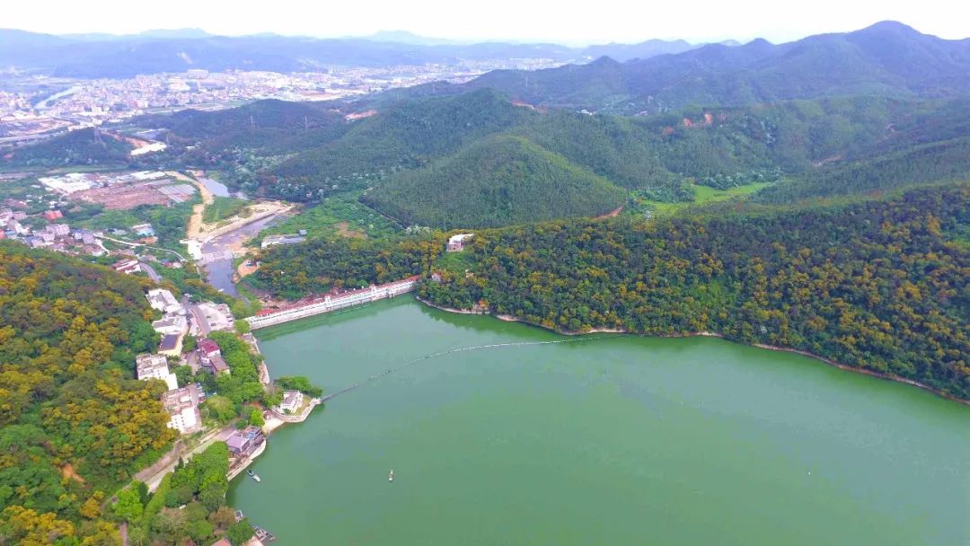 在鲤鱼岛上仰望石竹山主峰状元峰,山峰呈等腰三角形,恰似一座翠绿的