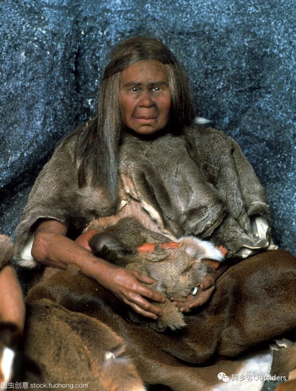 大脑袋一定有大智慧?_人类