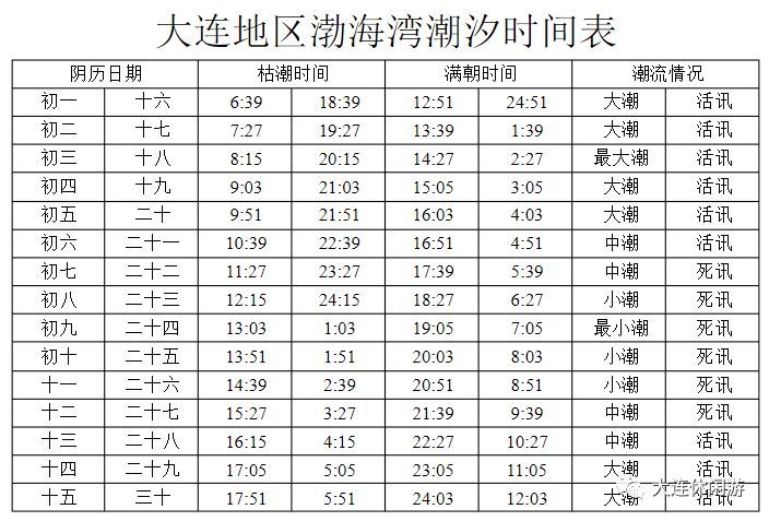 大連趕海攻略,全面到你想不到!_潮汐