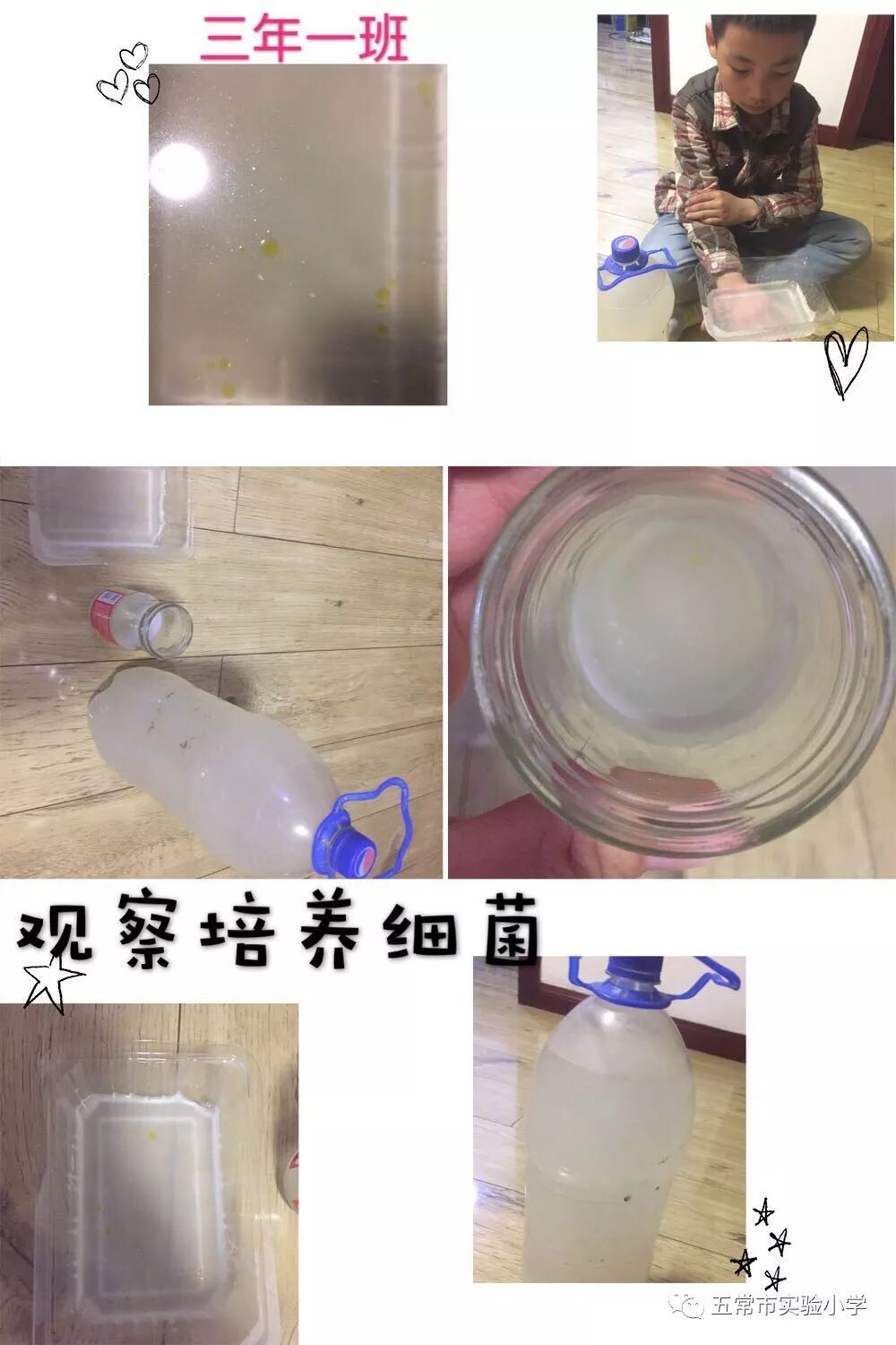 4个带盖的塑料盒,1个碗,1勺鱼汤,1块凝胶,盐,淘米水路易斯·巴斯德