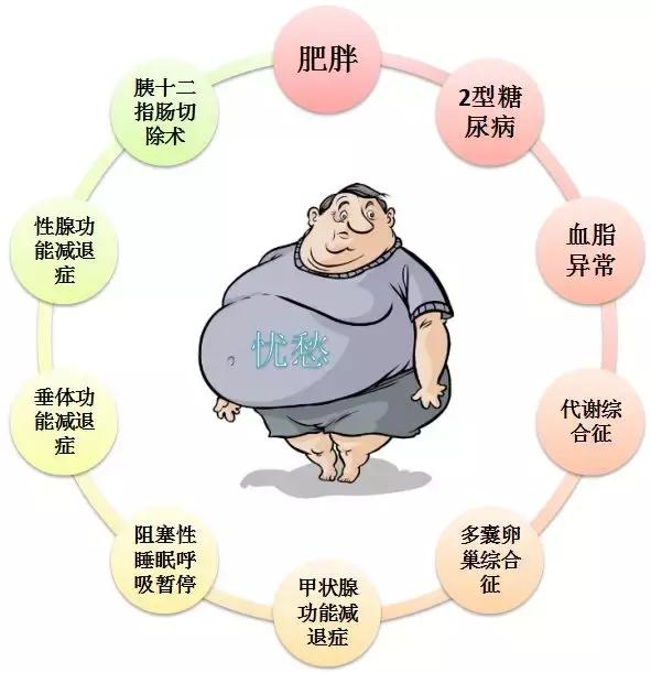 你说:非酒精性脂肪肝不是病?—真相:它身后跟着三个夺命杀手