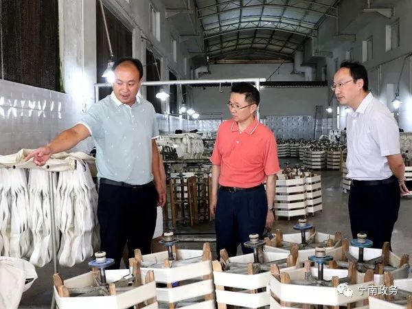 投资集团有限责任公司党委委员,董事郑贵林带领考察团一行到我县考察