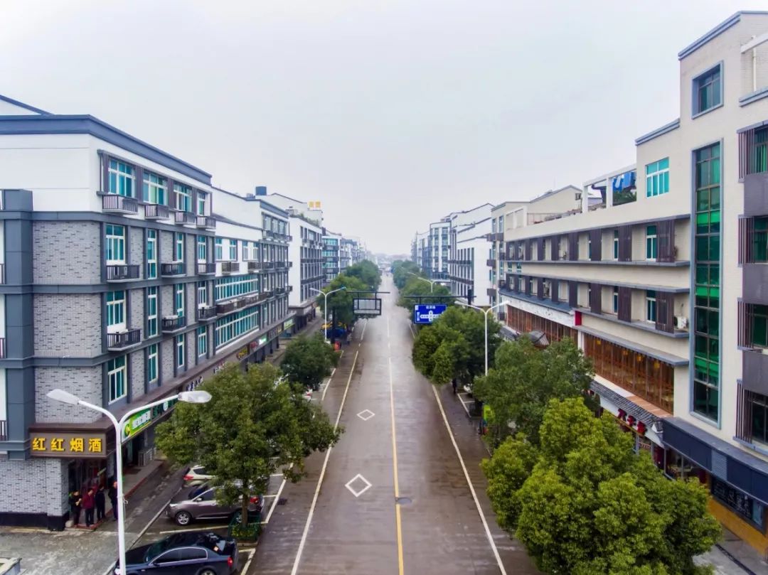 黄宅镇多举措引人留才为经济发展提供生力军