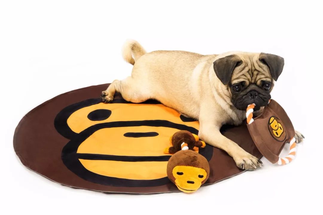 经典猿人形象babymilo带来全新宠物配件系列