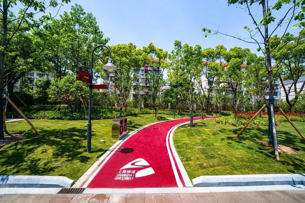 魔都最美步道小雨不湿鞋大雨不内涝静安区55条健身步道一步一景