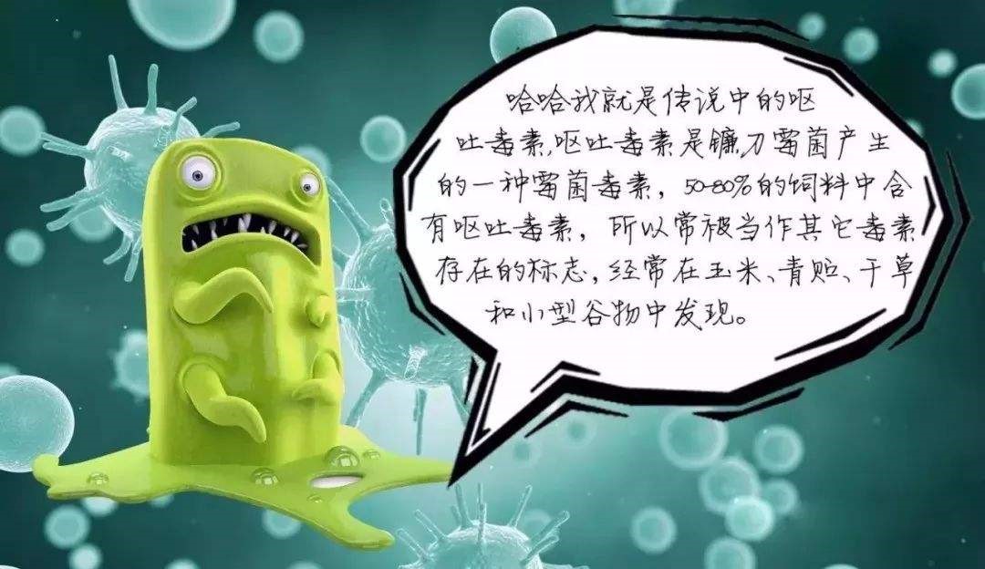 主要由禾谷镰刀菌,尖孢镰刀菌,串珠镰刀菌,拟枝孢镰刀菌,粉红镰刀菌和