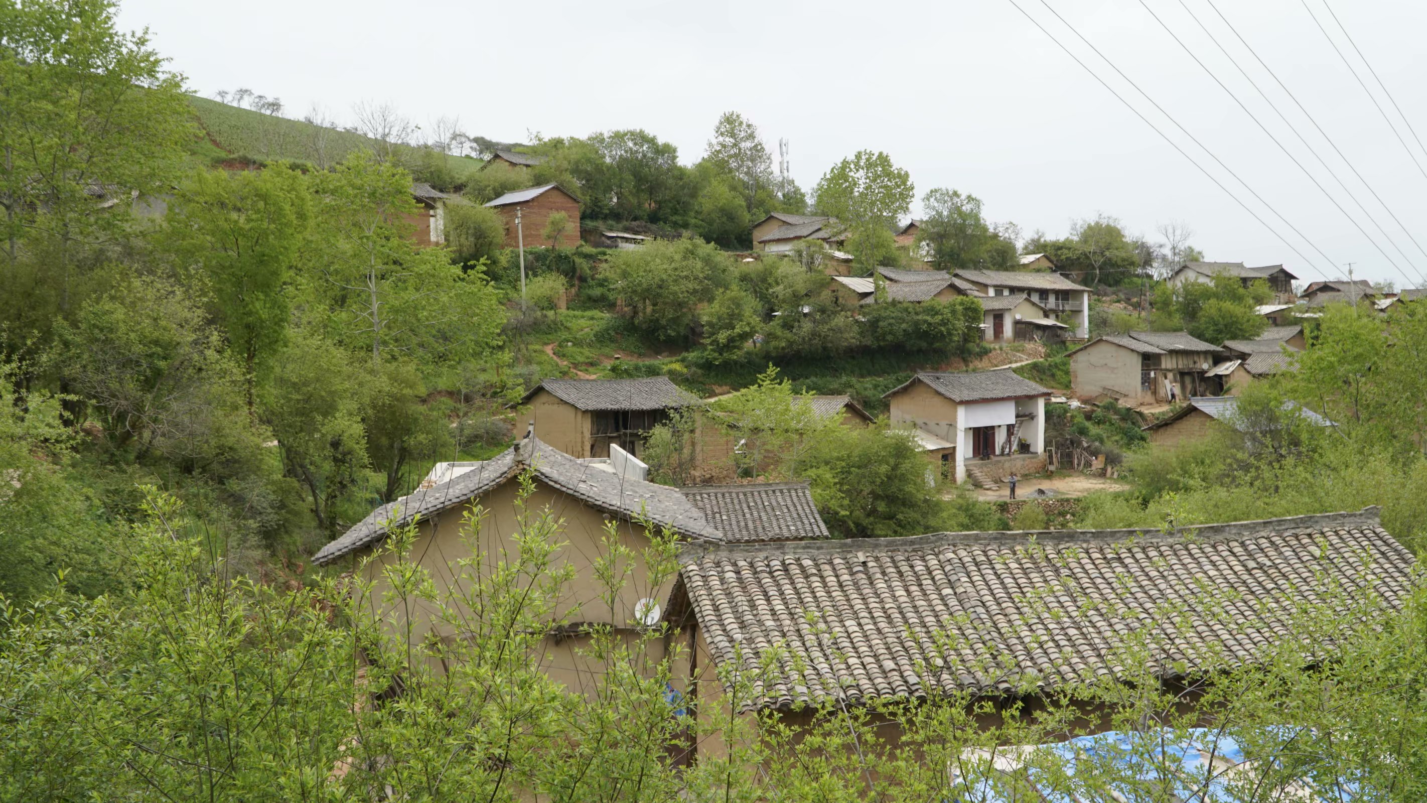 楊家山村