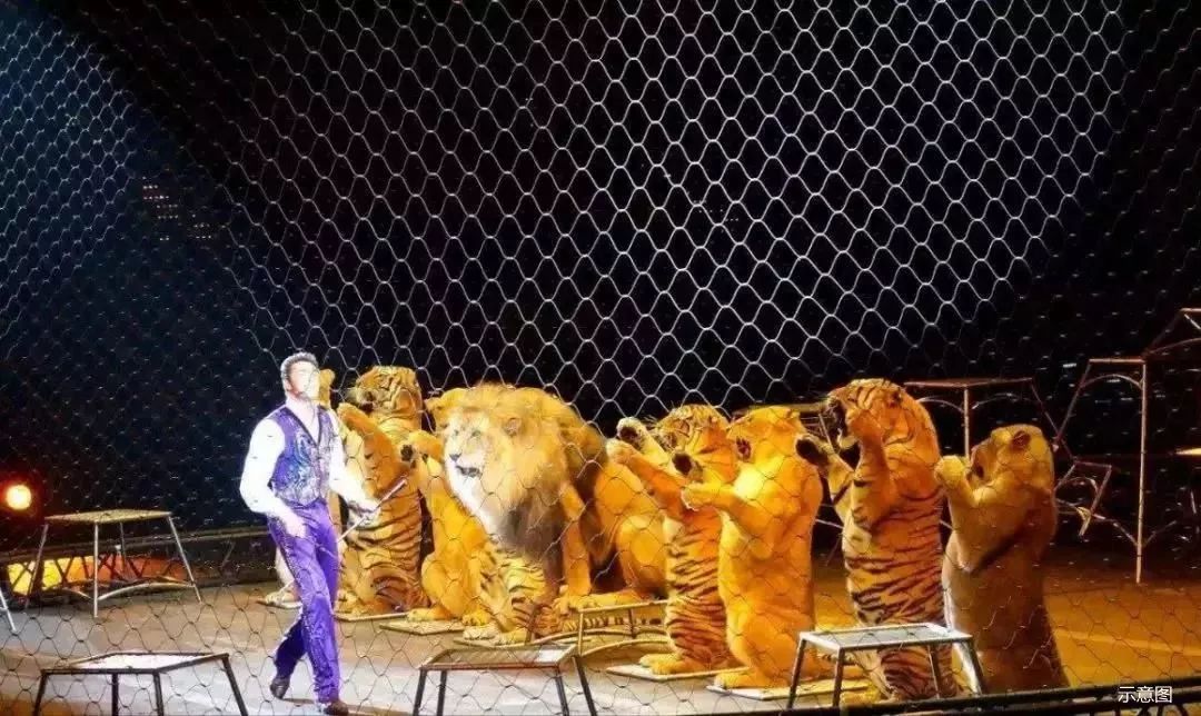 把整个动物园搬到了咸阳!