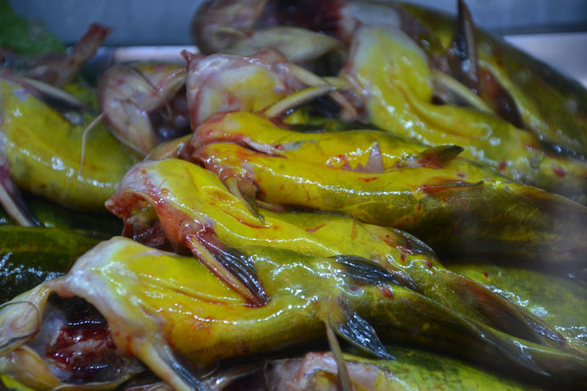 临沂金牌啤酒寻找临沂特色美食第43期炖出地道味的百味山庄劈柴院