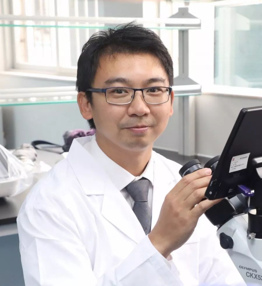 自己的血通过这项技术竟可变成良药再生医学大揭秘