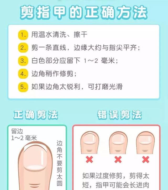 正确剪指甲你需要这 3 步