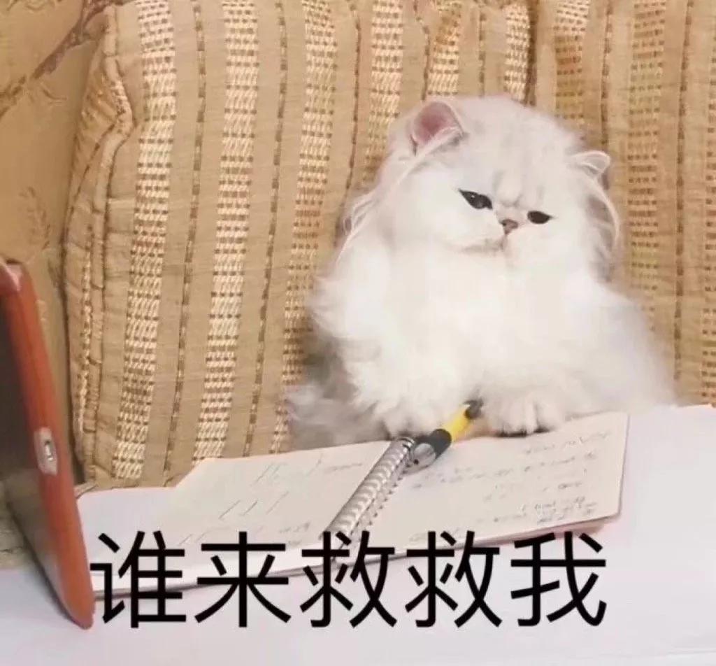 猫咪大郎该吃药了搞笑图片