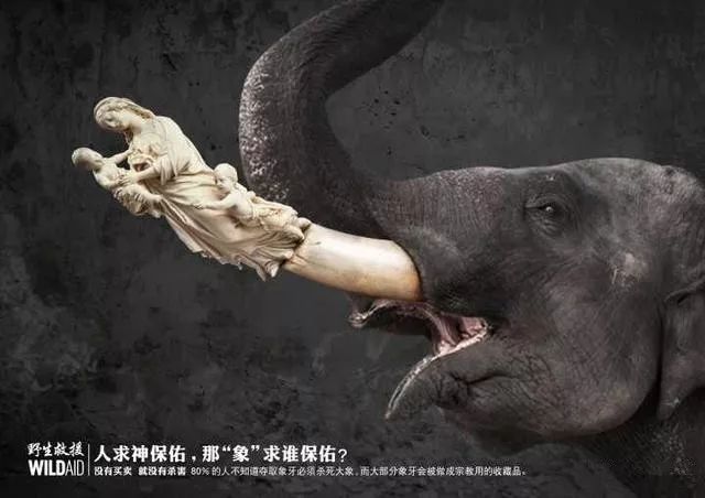 我们说"没有买卖,就没有杀害",但我们把穿山甲的鳞片入药,把象牙雕成