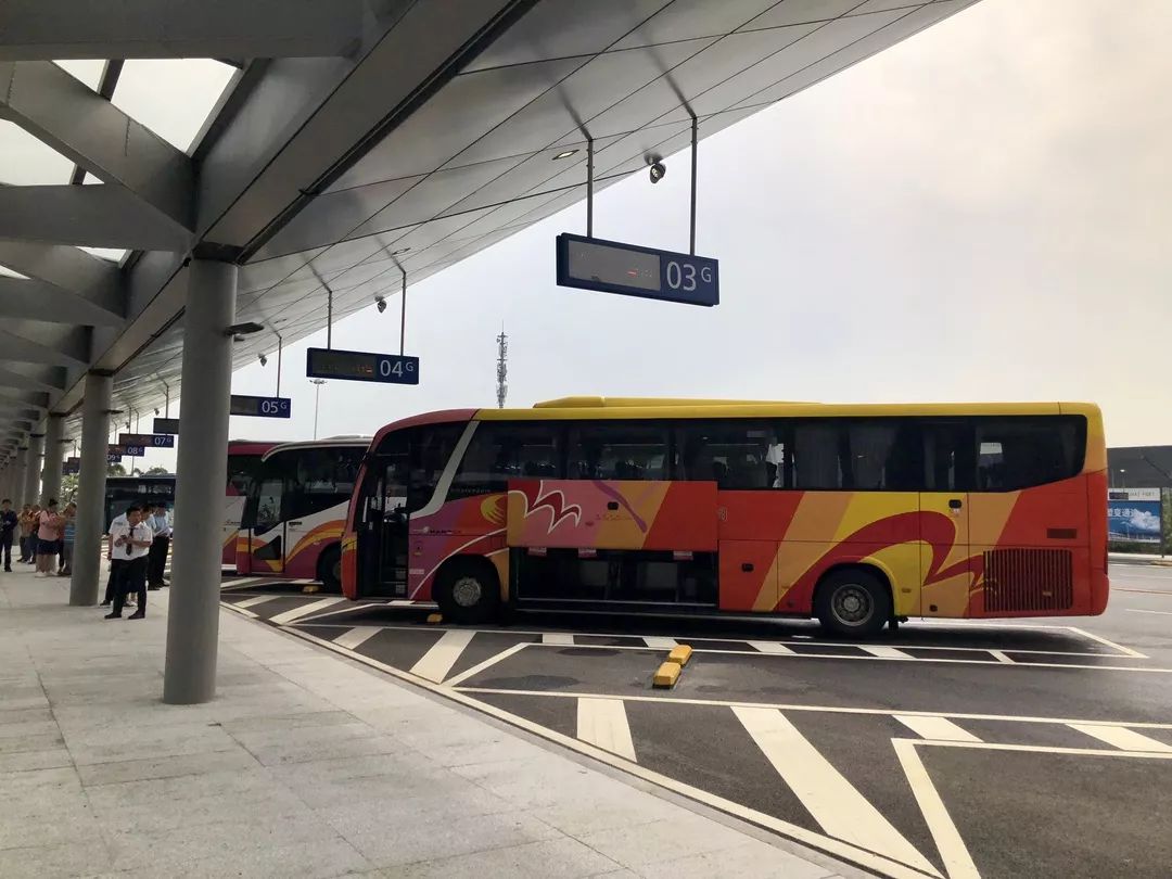 抵達後乘坐粵港穿梭巴士登上【港珠澳大橋】零距離欣賞鋼索塔