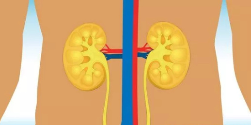 尿泡沫水腫小心這兩個信號是糖尿病性腎病