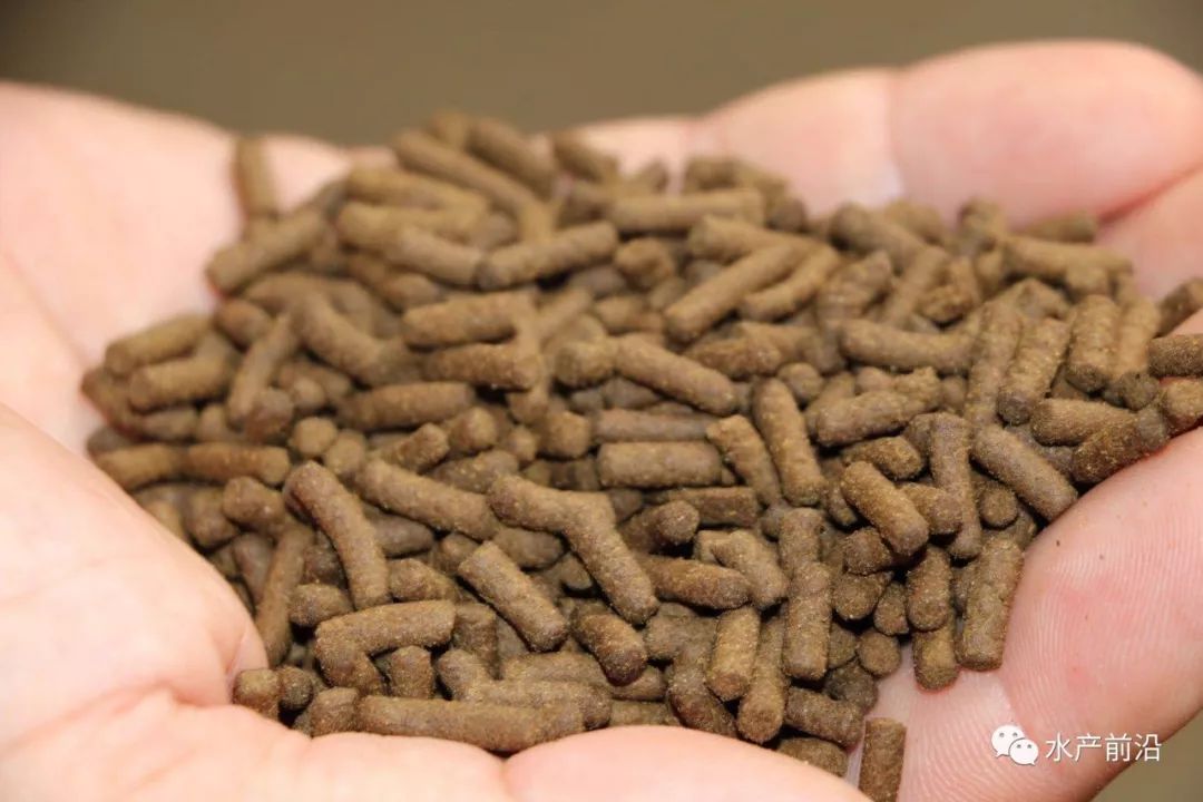 风口来了45万吨的鳜鱼饲料市场迎重大历史机遇谁能把握这份红利投票