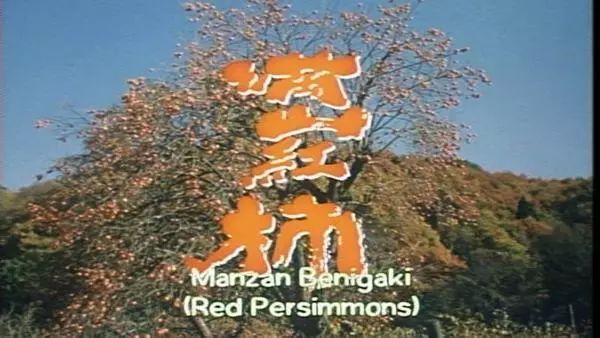 纪念 | 彭小莲《请你记住我》:致敬老电影的黄金岁月