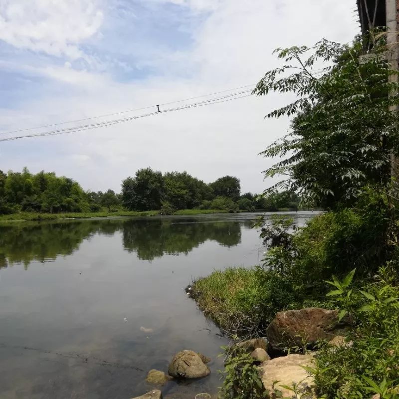 乐平市最大的吴氏聚居地——众埠镇湾头村|走遍乐平